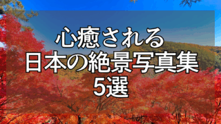 555f6adc315399c1320b1379f56a3e94