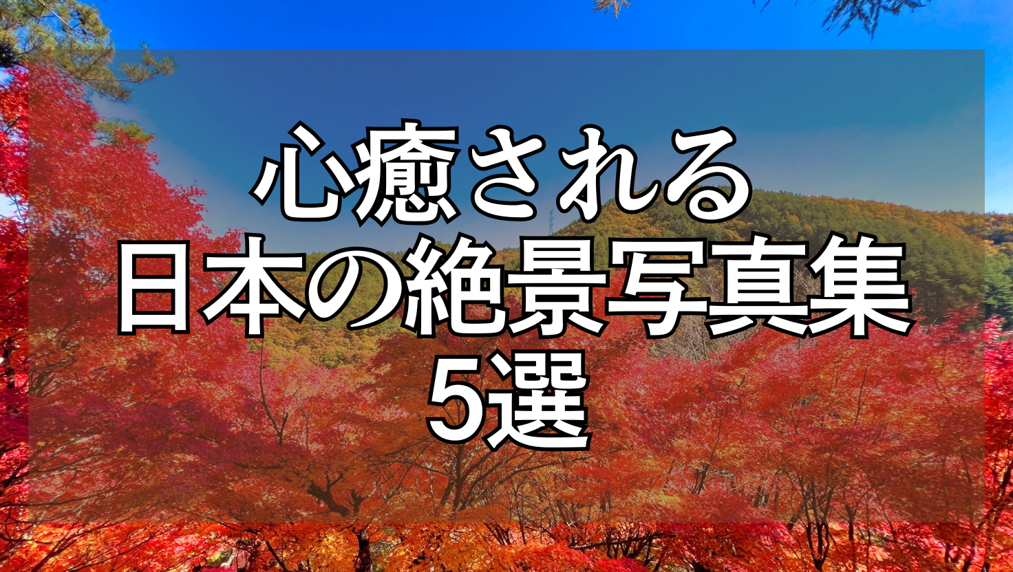 紅葉した木々、山の風景